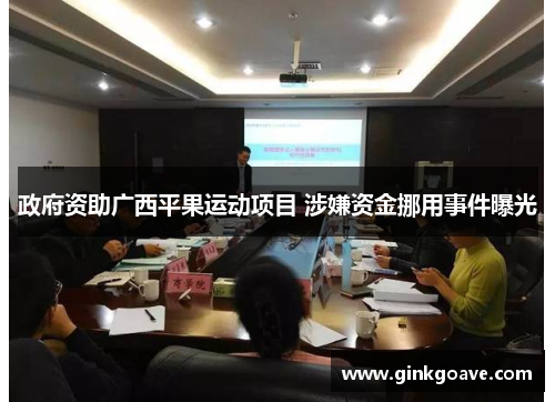 政府资助广西平果运动项目 涉嫌资金挪用事件曝光